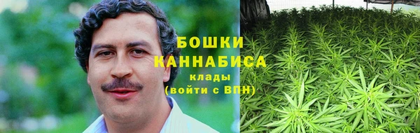метадон Дмитриев